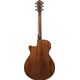 Ibanez AEG61 Chitarra acustica elettrificata Naturale