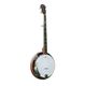 ASHTON BNJ50 Banjo 5 corde