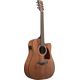 Ibanez AW54CE OPN Chitarra Acustica Open Pore Natural