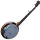 ASHTON BNJ50 Banjo 5 corde