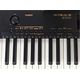 Casio CDP 230 con stand Pianoforte digitale 88 tasti con ritmi usb ingresso microfono