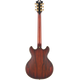 D'ANGELICO Bundle Deluxe Mini DC Satin Brown + Supro Amulet 10 + Reference Dammiuncavo 3,25mt 