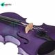 Stentor Harlequin Violino Viola 4/4 con astuccio ed archetto