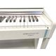 ECHORD DPX100 White Pianoforte Digitale 88 Tasti bianco con stand