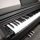 ECHORD DPX100 B Polished Pianoforte Digitale 88 Tasti con Stand Nero Lucido
