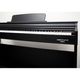 ECHORD DPX100 B Polished Pianoforte Digitale 88 Tasti con Stand Nero Lucido