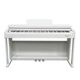 ECHORD DPX100 Polished White Bundle Completo