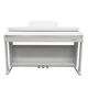 ECHORD DPX100 Polished White Bundle Completo