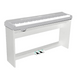 Echord DP-1W Bundle + stand