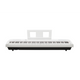 Echord DP-1W Bundle Completo