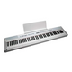 Echord DP-1W Bundle + stand