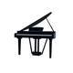 Echord GP-10B Pianoforte coda digitale nero