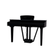 Echord GP-10B Pianoforte coda digitale nero