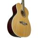 Eko NXT 018 Chitarra acustica Natural