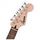 FENDER Standard Stratocaster SSS LRL 3-Color Sunburst