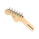 Fender American Performer Stratocaster MN Satin Lake Placid Blue Chitarra elettrica con borsa
