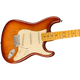 Fender American Professional II Stratocaster MN Sienna Sunburst Chitarra elettrica con borsa