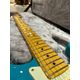 Fender American Professional II Stratocaster MN Miami Blue Chitarra elettrica con borsa