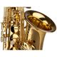 Grassi SAL700 Sax Contralto in MiB con Borsa 