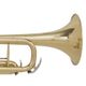 Grassi TR20SK Tromba in Sib