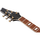 IBANEZ IC420-AAB Antique Autumn Burst Chitarra Elettrica