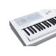 KURZWEIL KaE1 White Pianoforte Digitale 88 tasti Pesati