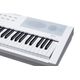 KURZWEIL KaE1 White Pianoforte Digitale 88 tasti Pesati
