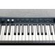 KURZWEIL KaP1 Black Pianoforte Digitale 88 tasti Pesati