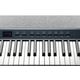 KURZWEIL KaP1 Black Pianoforte Digitale 88 tasti Pesati