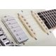 SCHECTER Nick Johnston Traditional HSS Atomic Snow chitarra elettrica