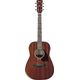 IBANEZ PF14JR OPN Open Pore Natural Acustica 3/4 