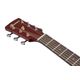 IBANEZ PF14JR OPN Open Pore Natural Acustica 3/4 