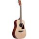 IBANEZ PF15JR OPN Open Pore Natural Chitarra Acustica 3/4