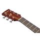 IBANEZ PF15JR OPN Open Pore Natural Chitarra Acustica 3/4