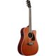 Ibanez PF16MWCE OPN Open Pore Natural Chitarra Acustica Elettrificata