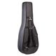 PROEL Custodia Semirigida per Chitarra Classica