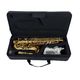 DAM DAS-90 Sax Alto completo di custodia