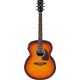 Ibanez PJ50E OAH Chitarra Acustica Amplificata
