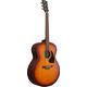 Ibanez PJ50E OAH Chitarra Acustica Amplificata