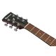 Ibanez PJ50E OAH Chitarra Acustica Amplificata