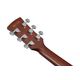 Ibanez PJ50E OAH Chitarra Acustica Amplificata