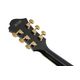 IBANEZ PM3CBKL Black Low Gloss Chitarra Semiacustica
