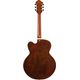 IBANEZ PM3CNAL Natural Amber Low Gloss Chitarra Semiacustica