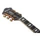 IBANEZ PM3CNAL Natural Amber Low Gloss Chitarra Semiacustica