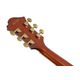 IBANEZ PM3CNAL Natural Amber Low Gloss Chitarra Semiacustica