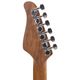 R66 Horizon Williams Strato Style Chitarra elettrica Sunburst