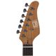 R66 Horizon Williams Tele Style Chitarra elettrica Sunburst