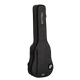 Ritter RGD2-L/ANT Borsa Davos imbottita per chitarra Les Paul