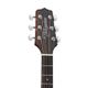 Takamine GD15CE Natural Chitarra acustica elettrificata