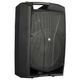 PROEL V15PRO Cassa Attiva con DSP 15" 600W